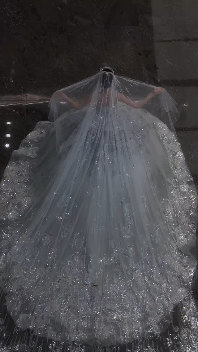 Bride from behind in a white gown with a long shimmering veil